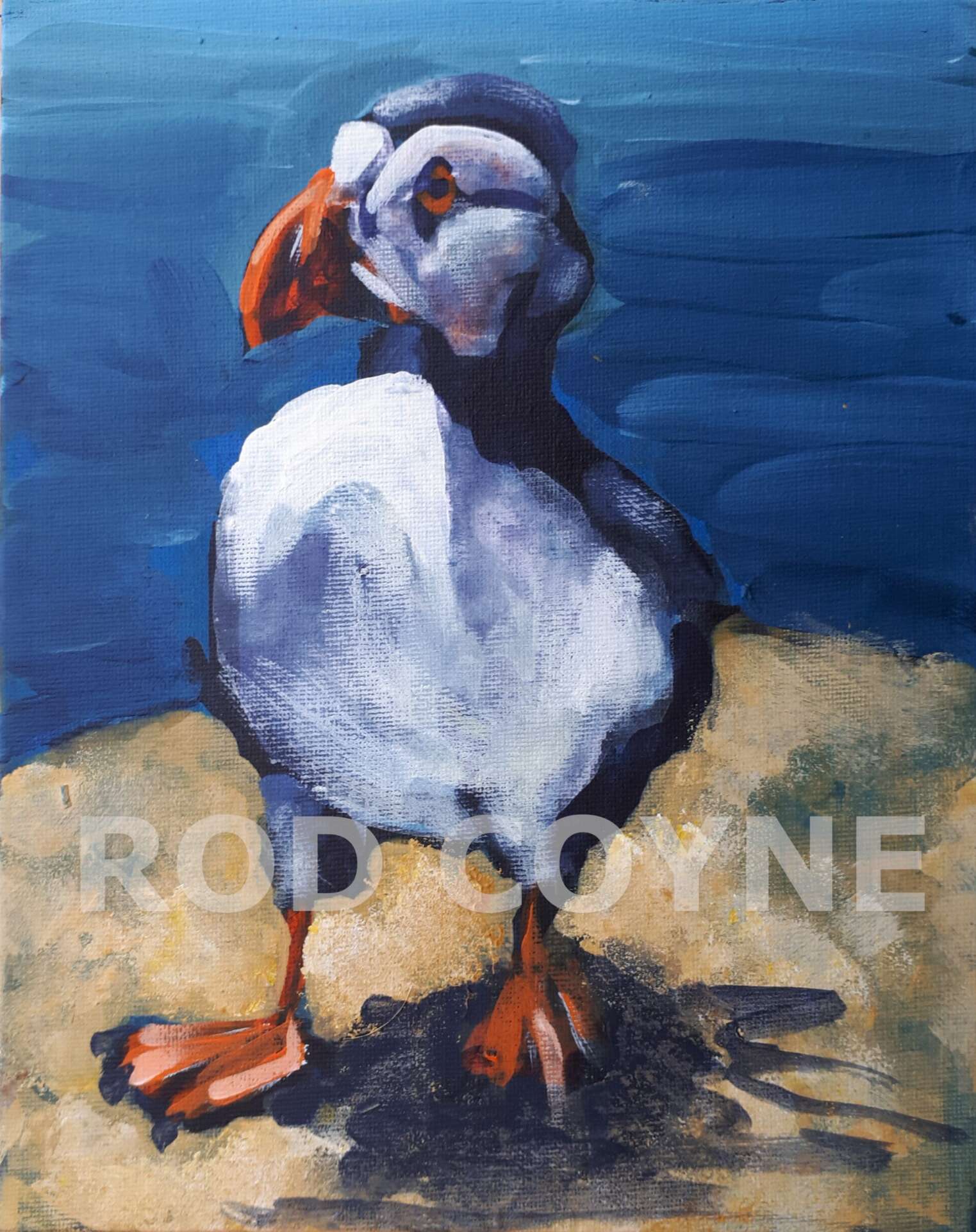 "Patrolling Puffin" - canvas print. - Image 2