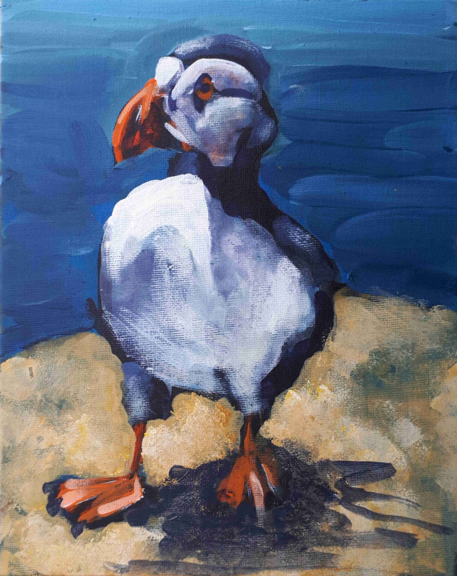"Patrolling Puffin" - canvas print. - Image 4